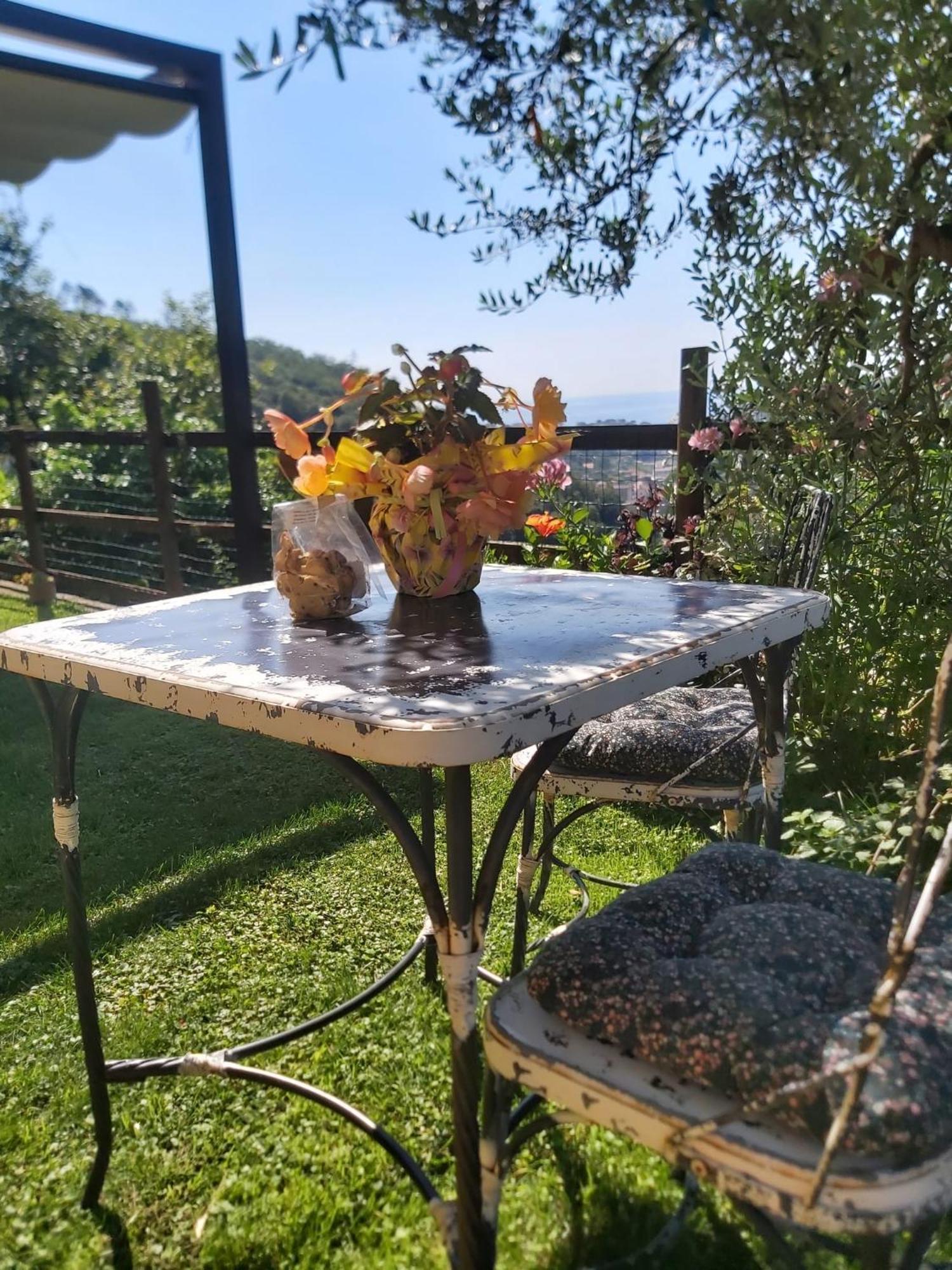 Il Rosale A Celle Ligure Bed & Breakfast エクステリア 写真